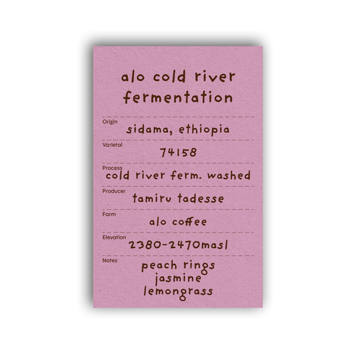 alo cold river fermentation