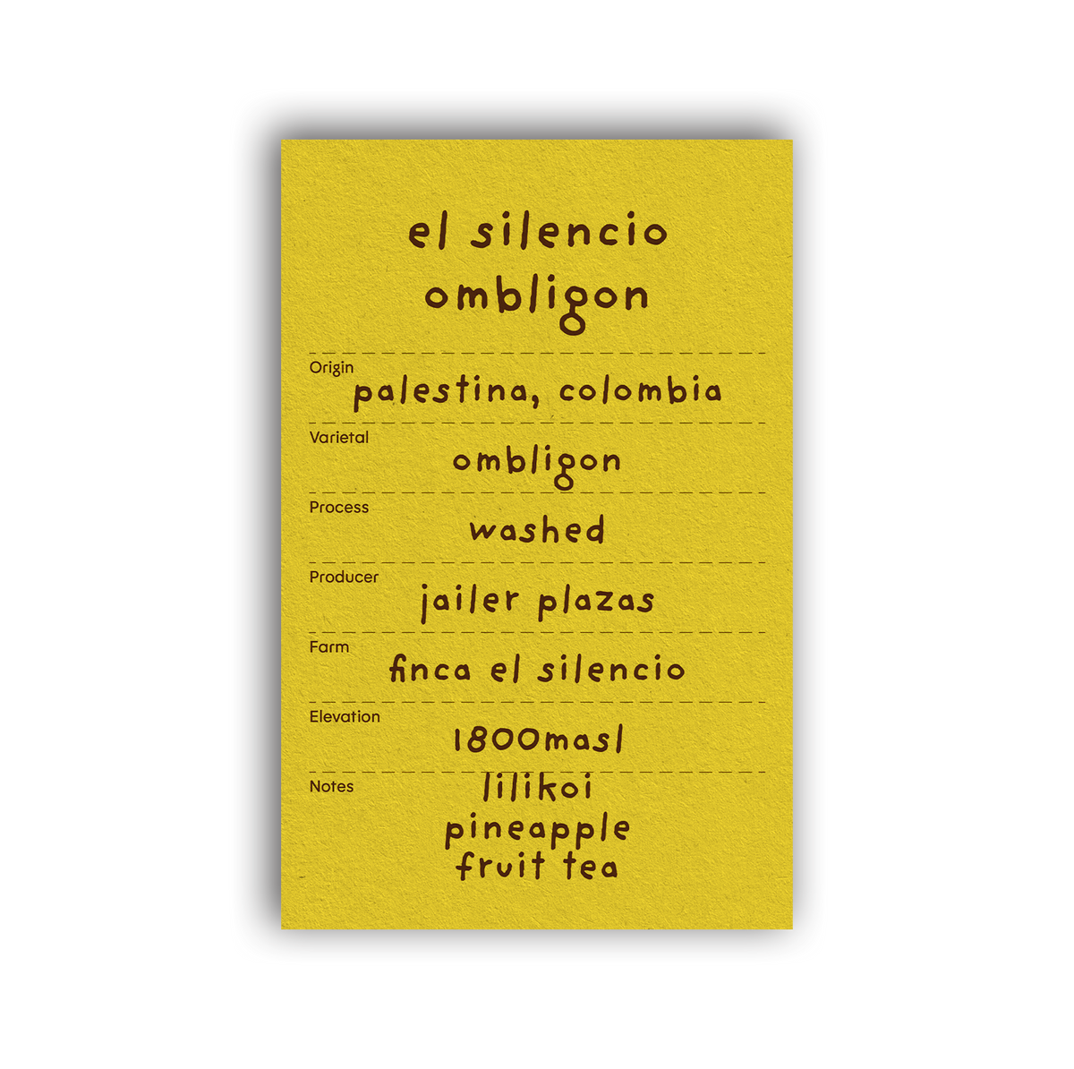 el silencio ombligon