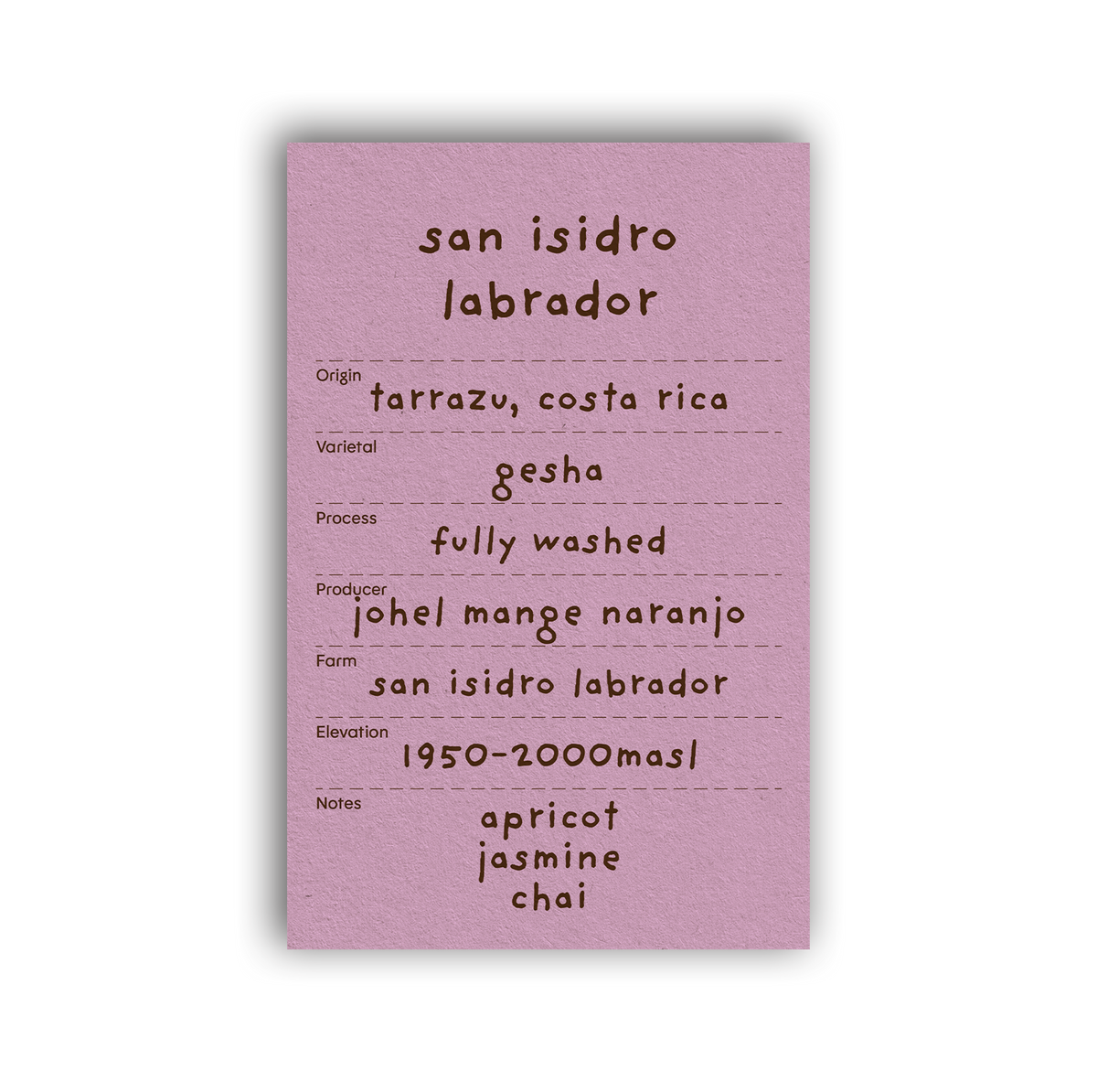 san isidro labrador