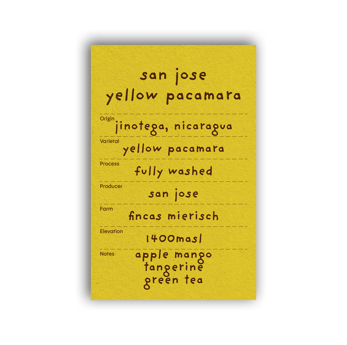 san jose yellow pacamara