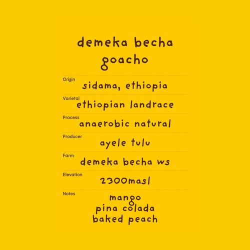 demeka becha goacho (2025)