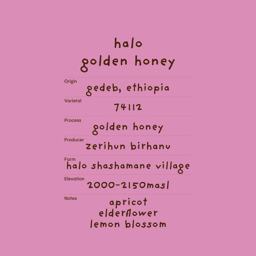 halo golden honey