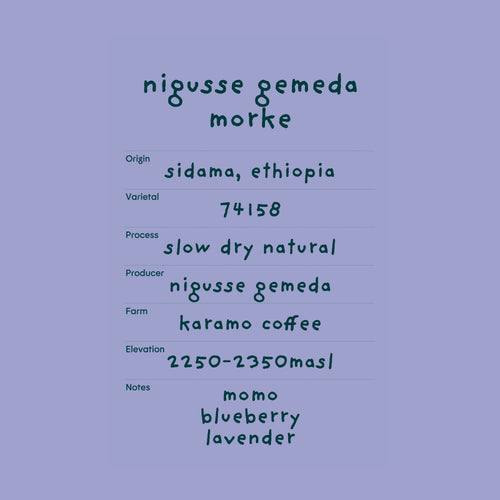 nigusse gemeda morke