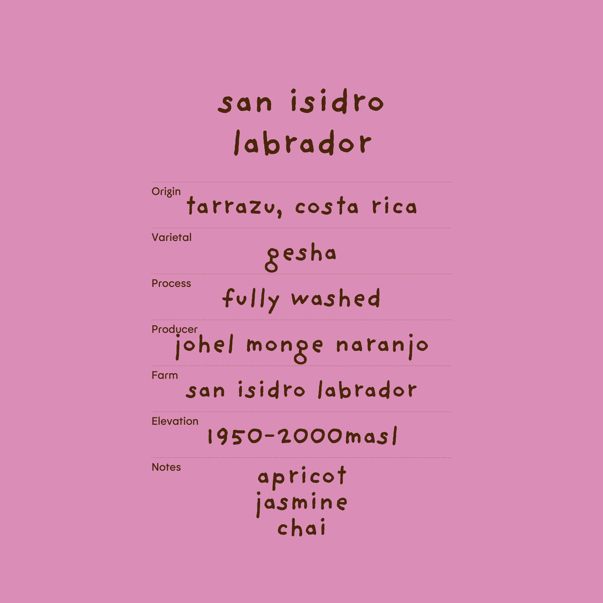 san isidro labrador