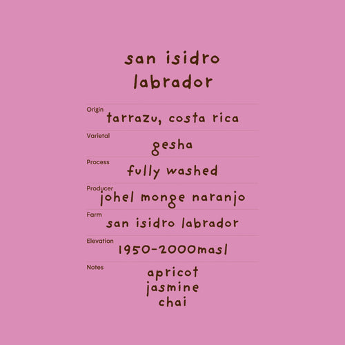 san isidro labrador