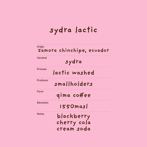sydra lactic